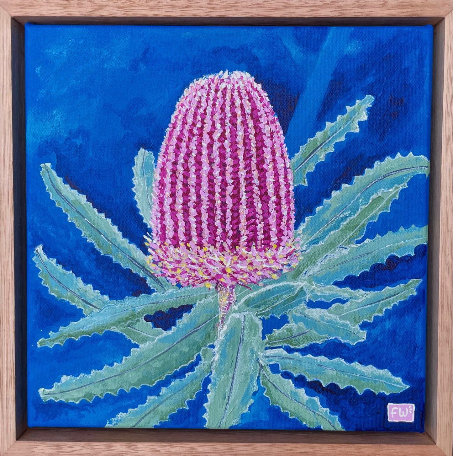 Pink Banksia