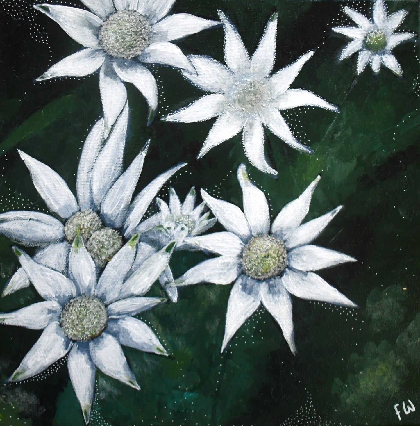 Stars in the Meadow