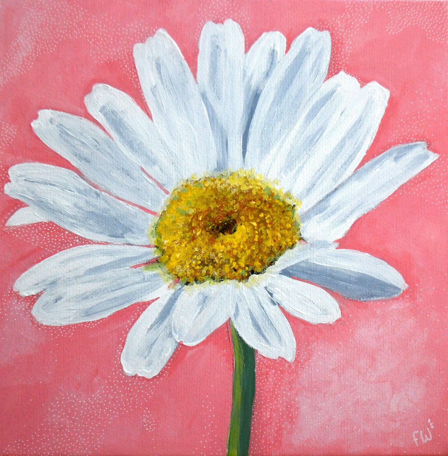 The Daisy Danced