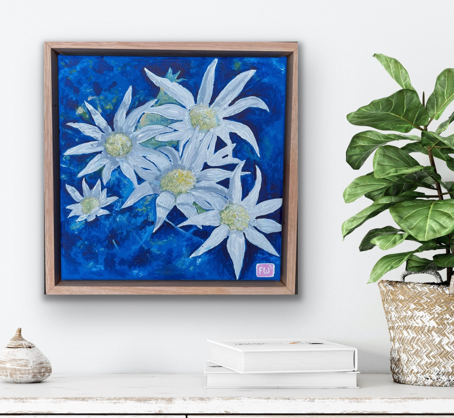 Flannel Flowers